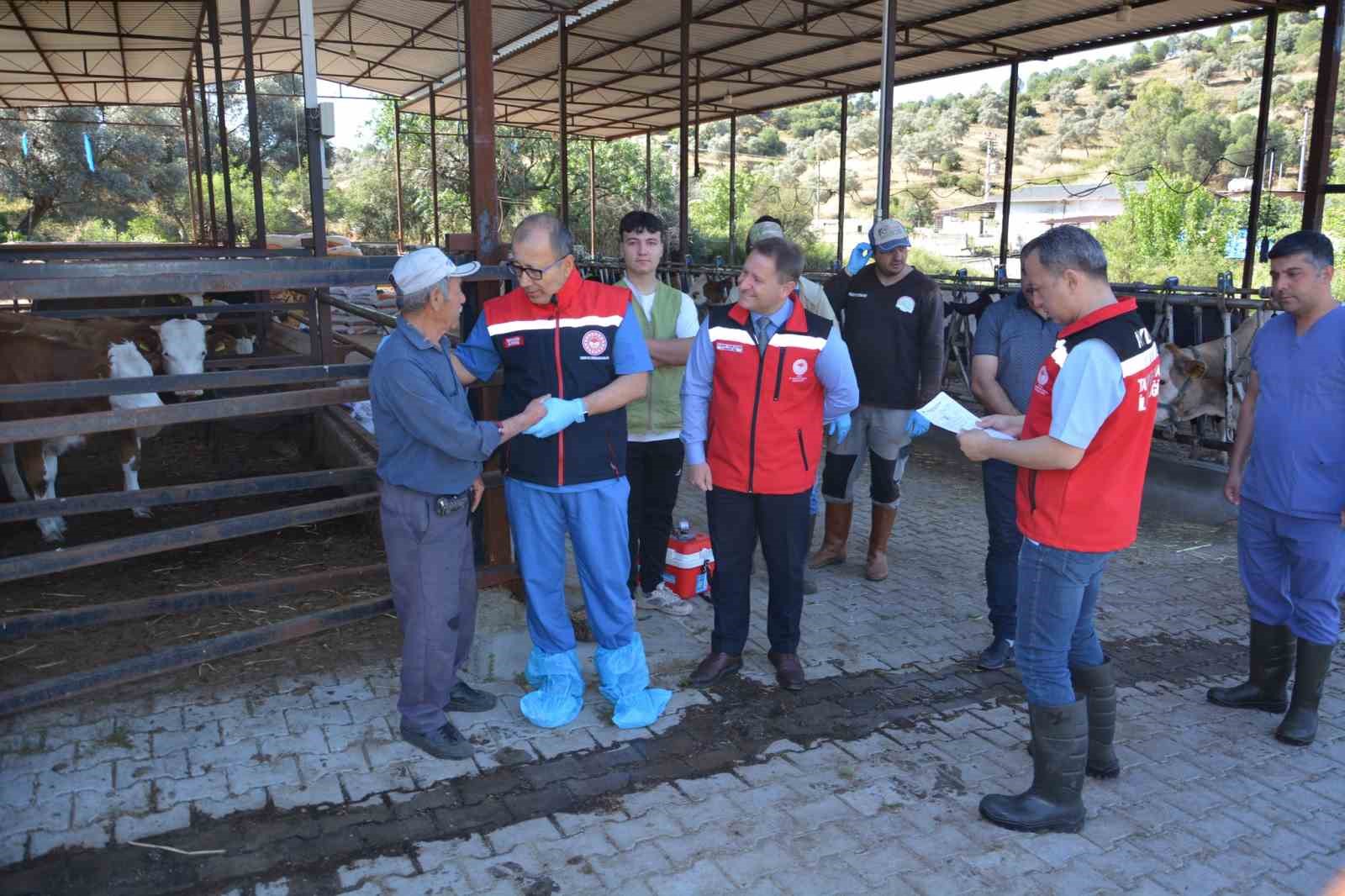 Aydın’da Şap hastalığına karşı aşı çağrısı
