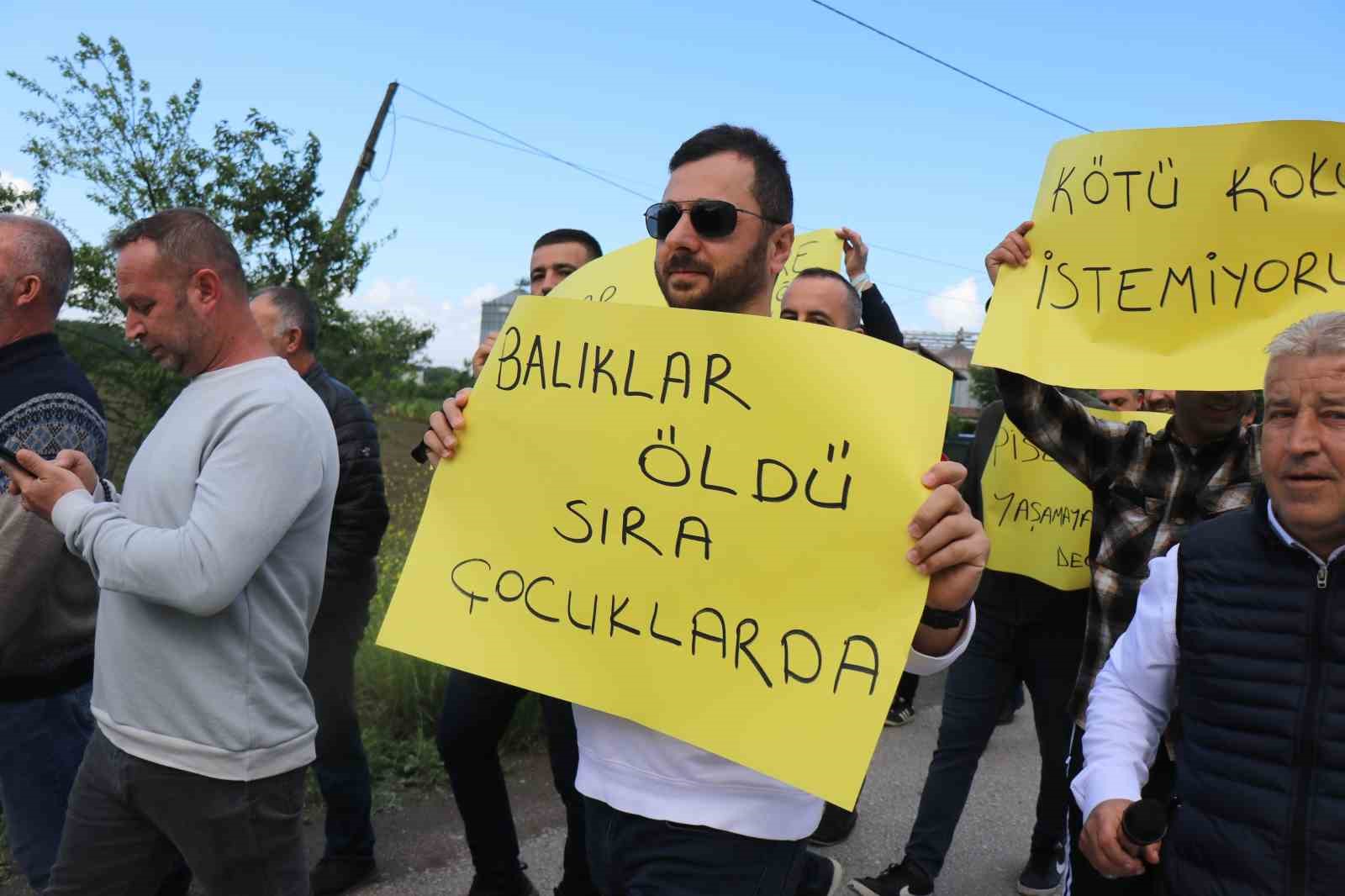 Dereyi kirlettiği iddia edilen fabrikaya savcılıktan soruşturma
