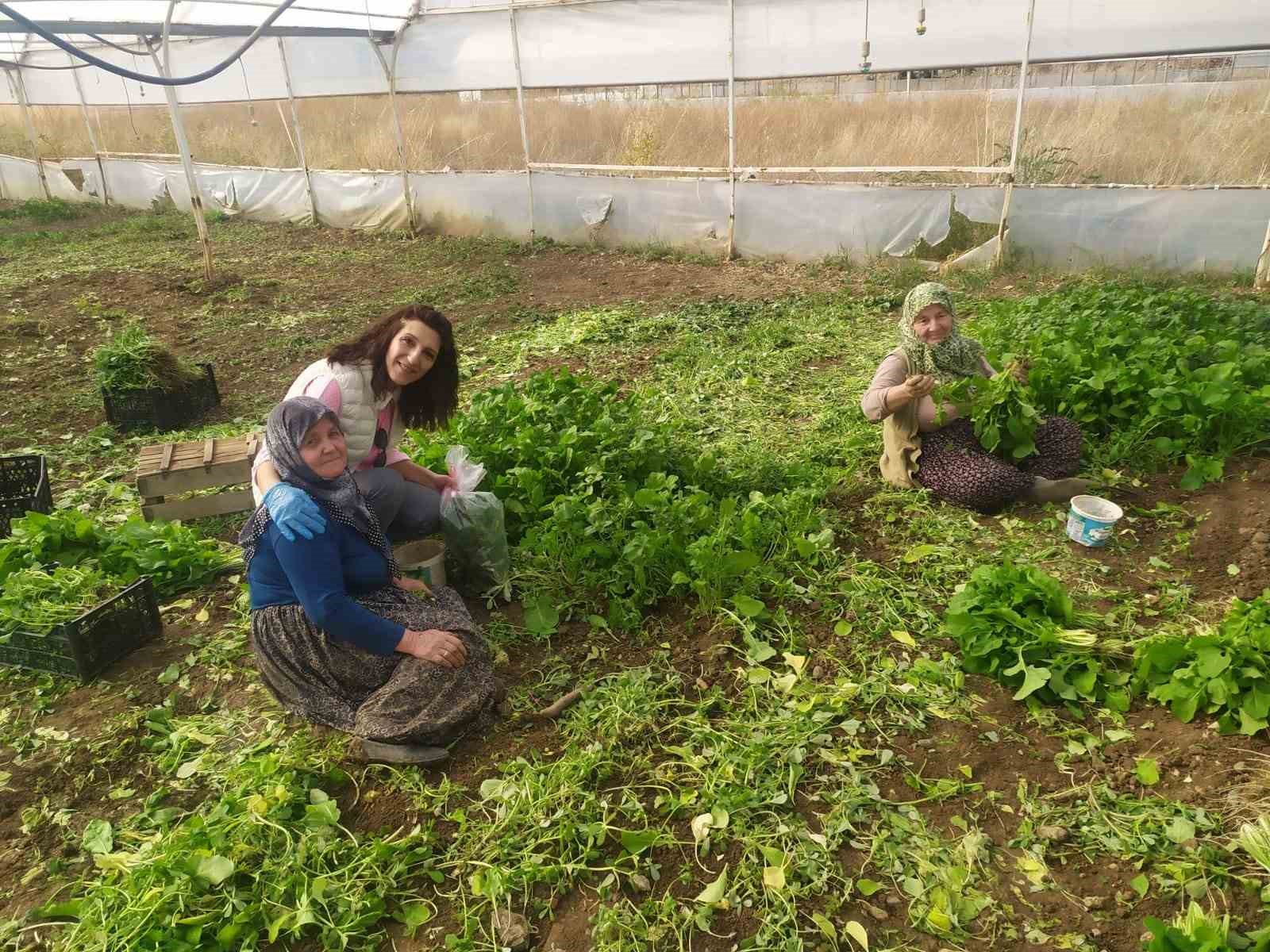 Eskişehir’de sağlıklı tarımsal üretim çalışmaları devam ediyor