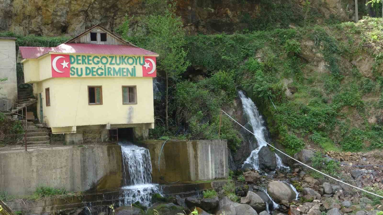 Kayalardan çıkan su yöreye hayat verirken ziyaretçilerinde ilgi odağı
