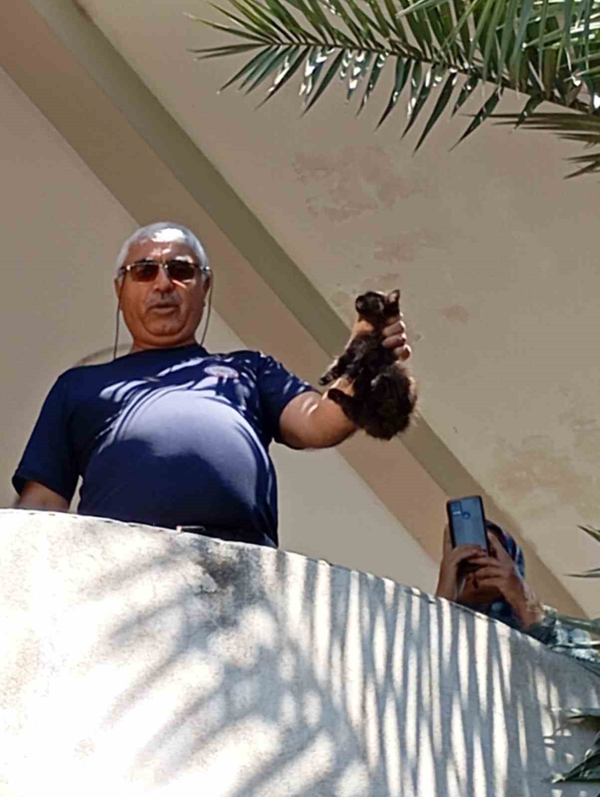 Payas&rsquo;ta ağa&ccedil;ta mahsur kalan kedi kurtarıldı
