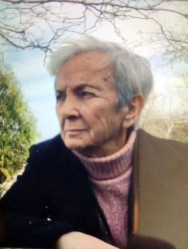 Trenin &ccedil;arptığı 89 yaşındaki kadın hayatını kaybetti
