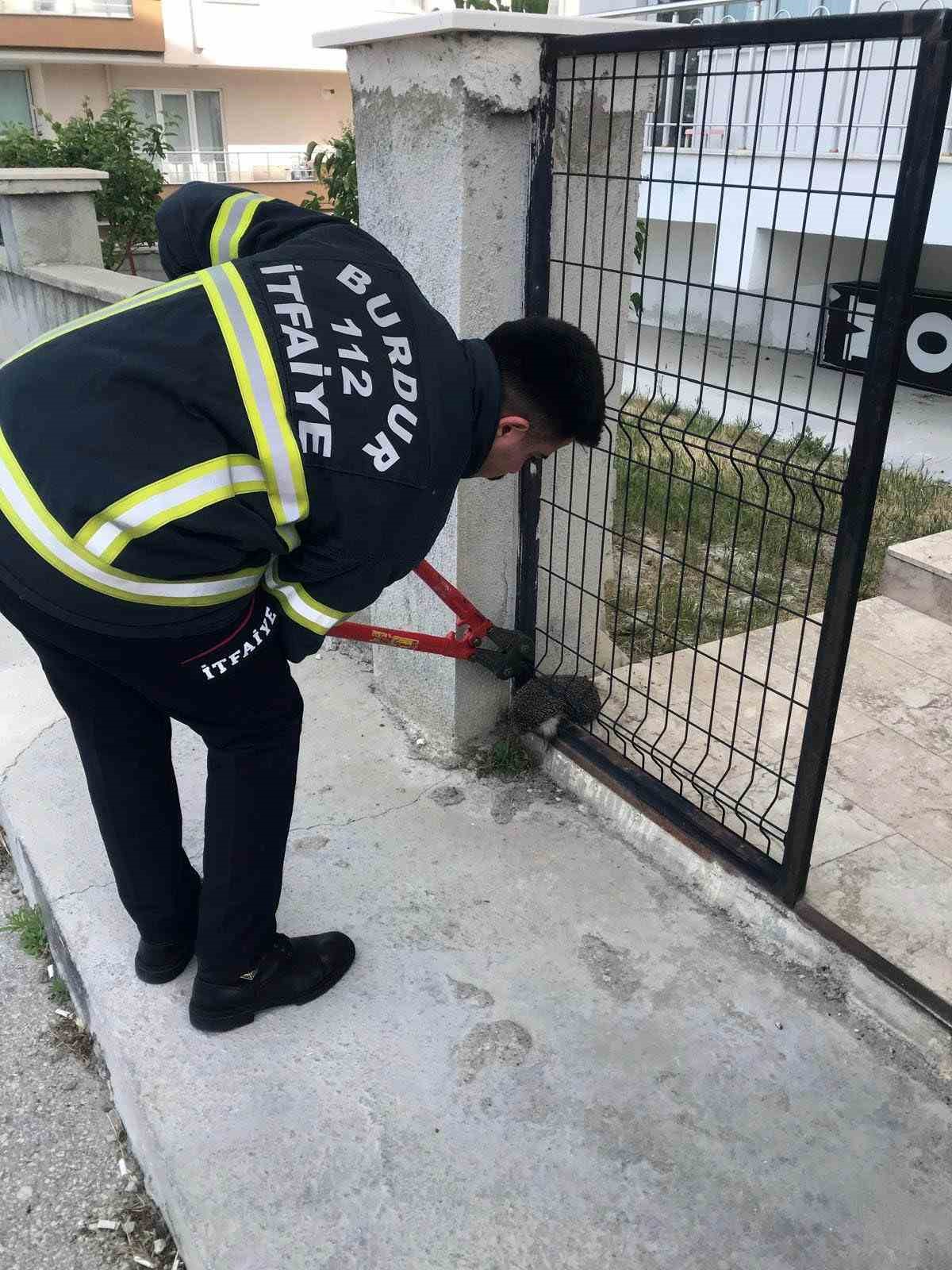 Bah&ccedil;e kapısına sıkışan kirpinin imdadına itfaiye yetişti
