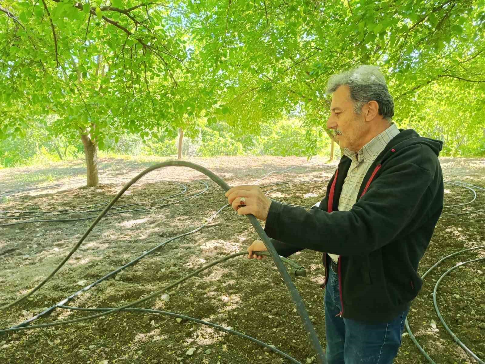 Dut üreticileri yeni sezon için bahçeye indi
