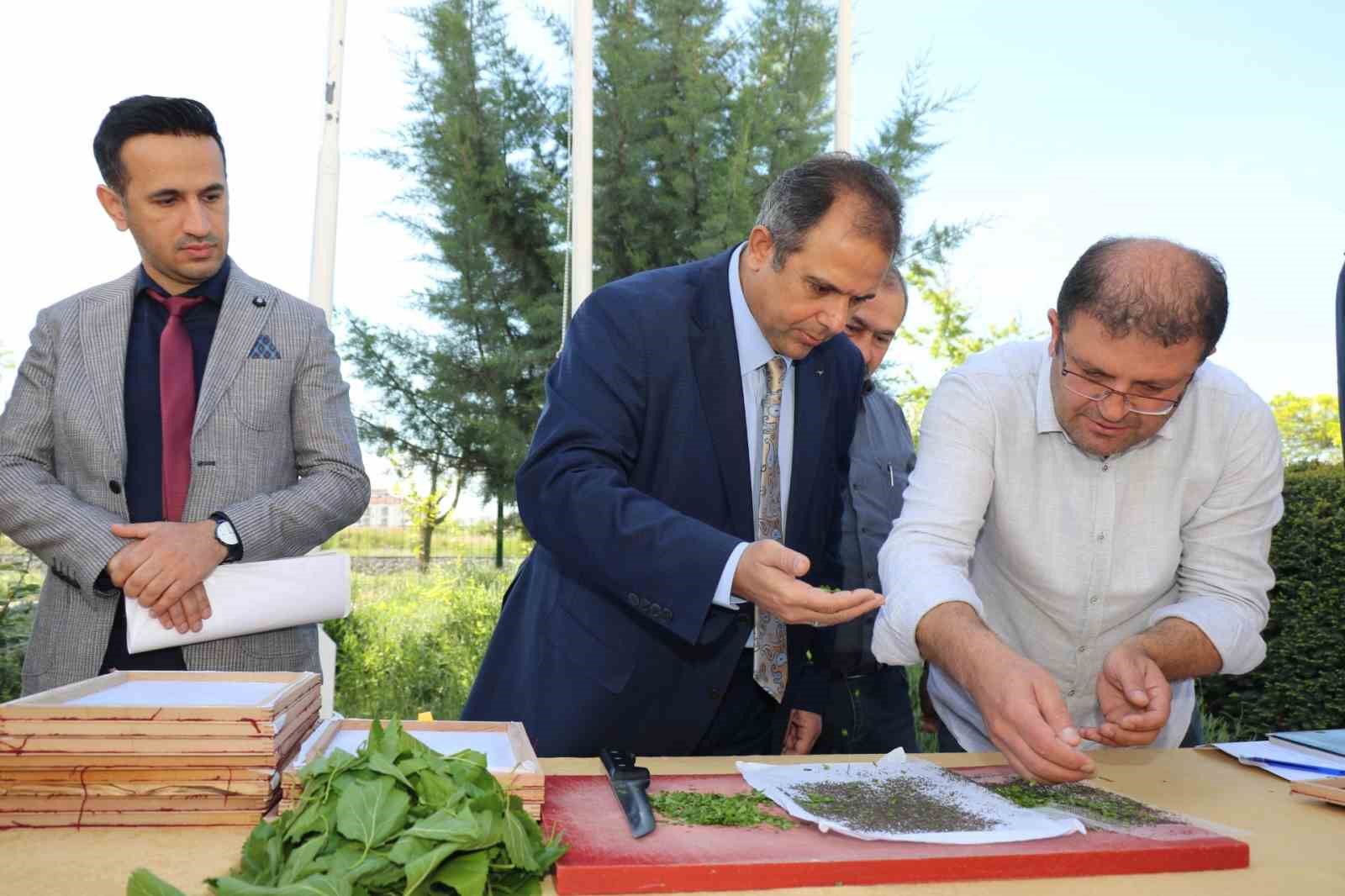 Elazığ’da üreticilere ipek böceği larvası dağıtıldı
