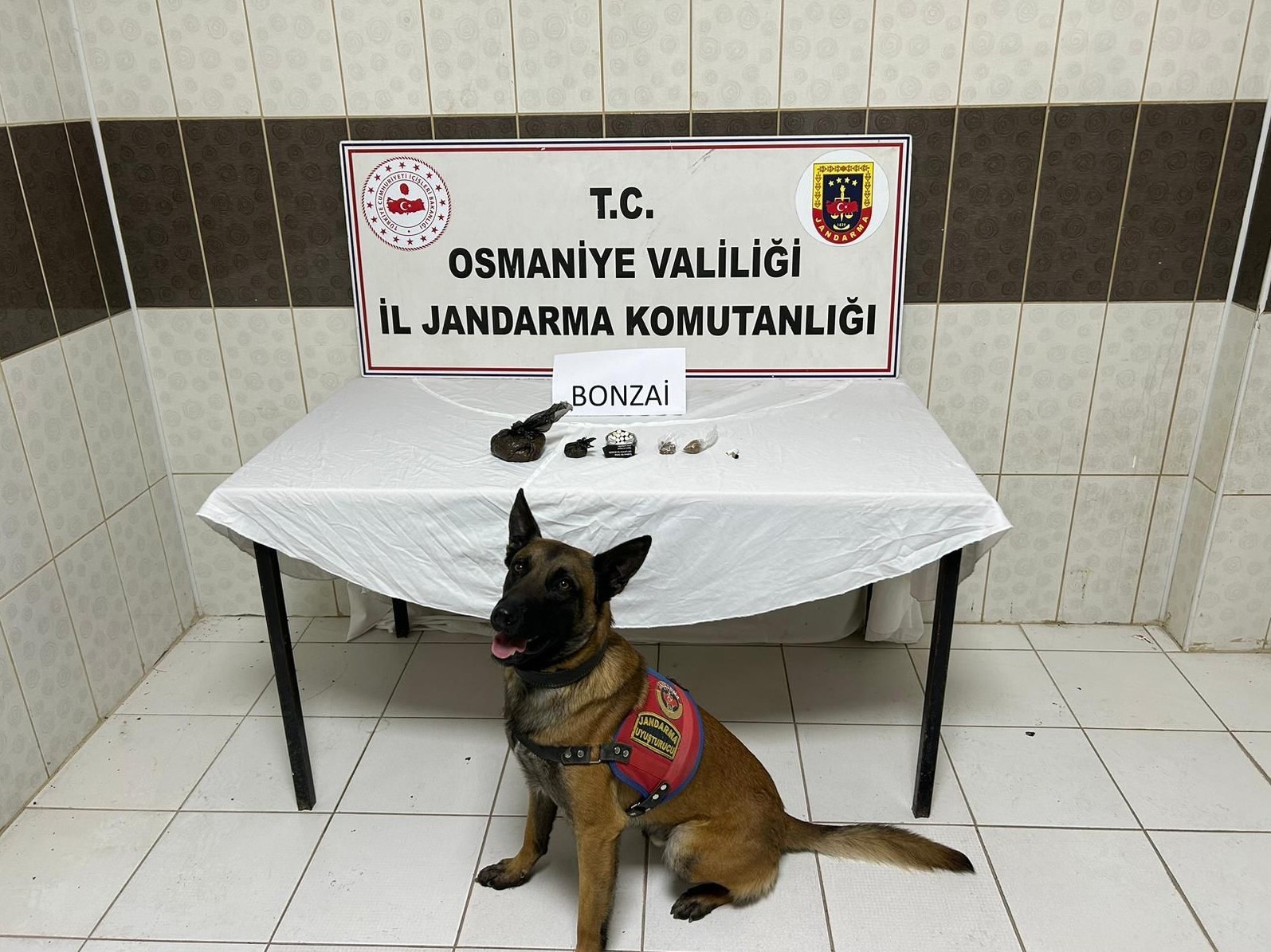 Jandarmadan uyuşturucu operasyonları: 1 kişi tutuklandı
