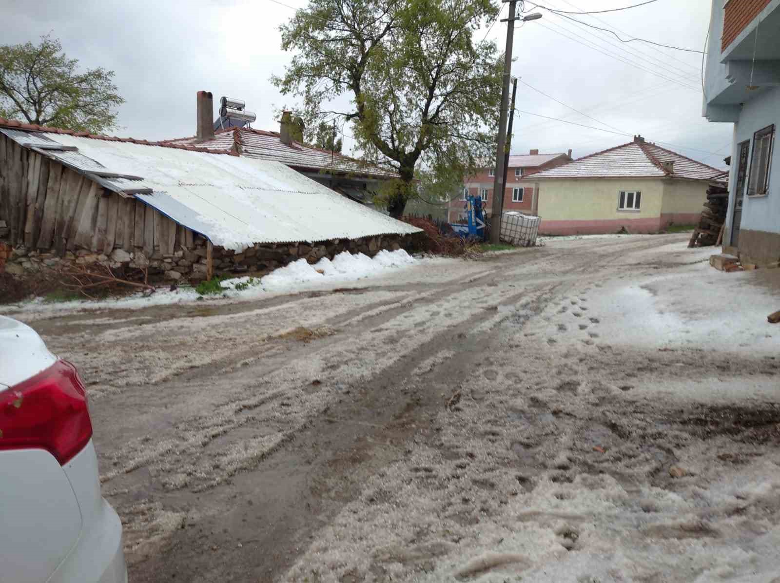 Domaniç’te meyve ağaçlarını dolu vurdu
