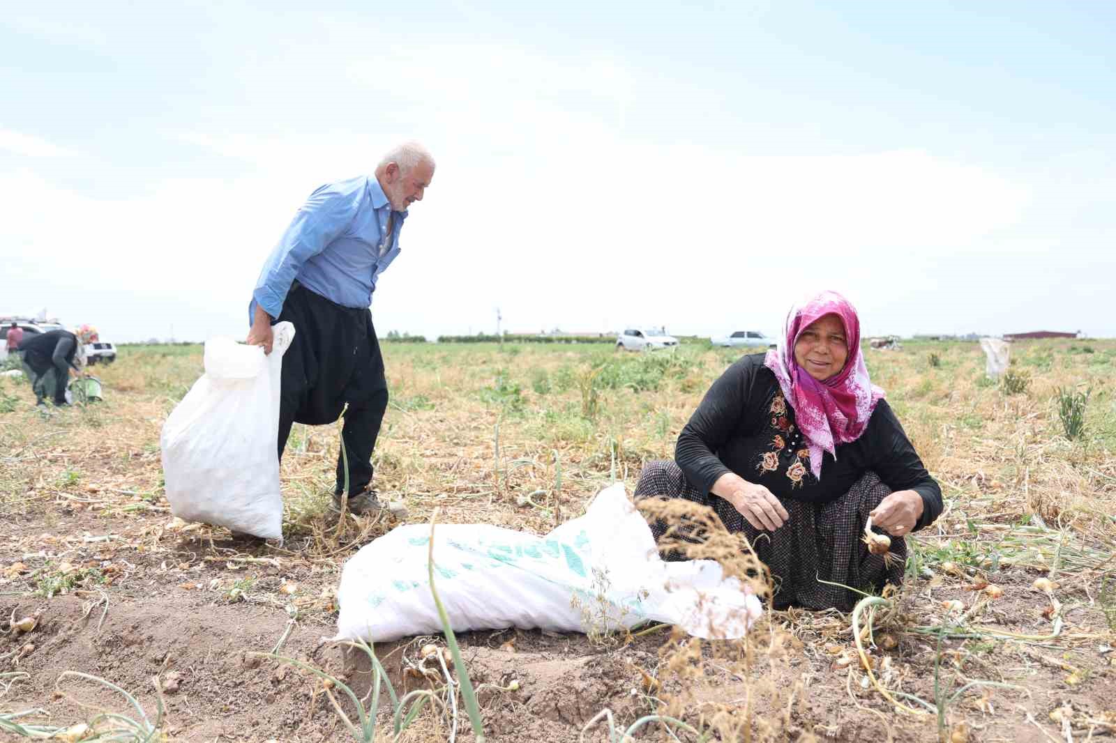 80 d&ouml;n&uuml;m soğanı hayrına dağıttığını duyan oraya akın etti
