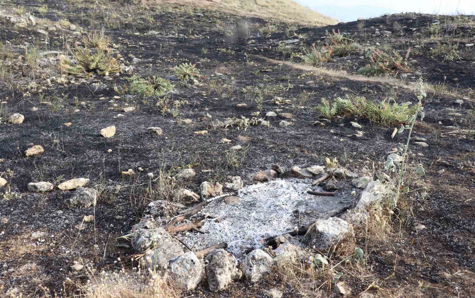 Çiftçinin yangınla amansız mücadelesi dron kamerasına yansıdı