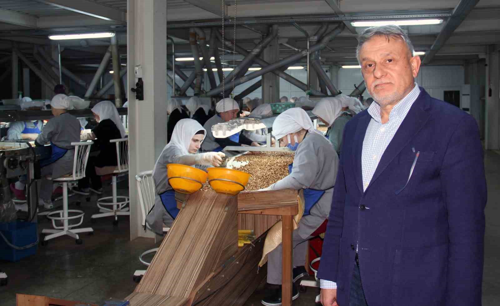 Fındıkta rekolte tartışması başladı
