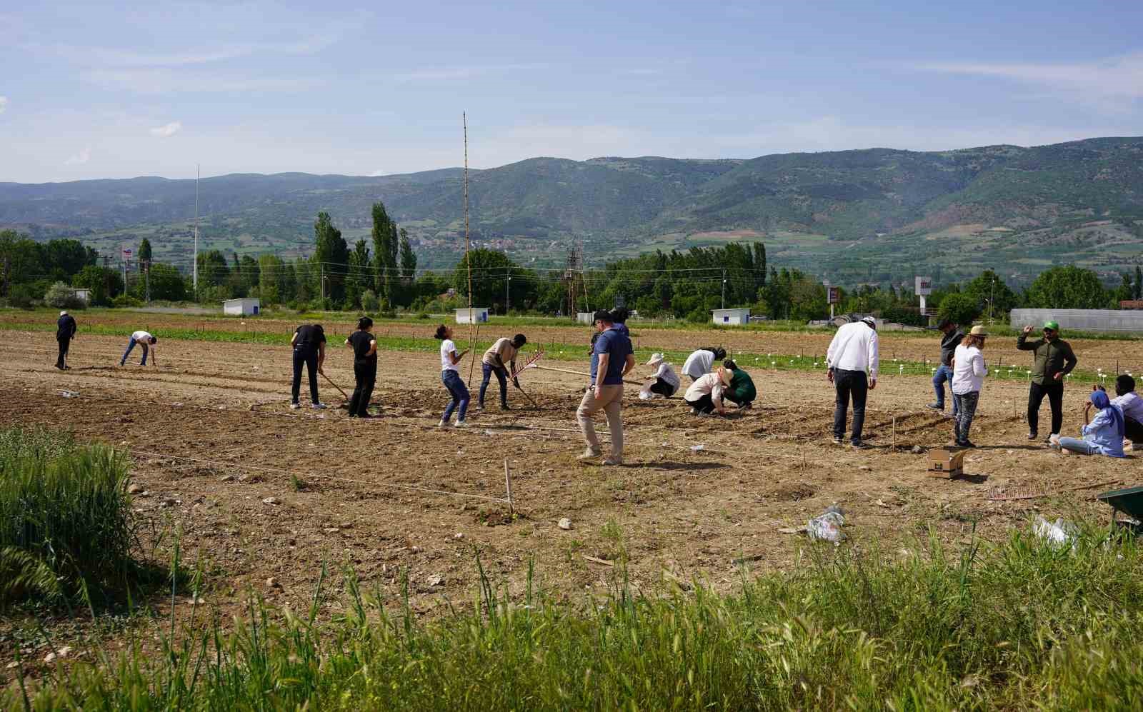 Tokat’ta tarım arazisi üzerine yapılmak istenen şehir hastanesine tepki
