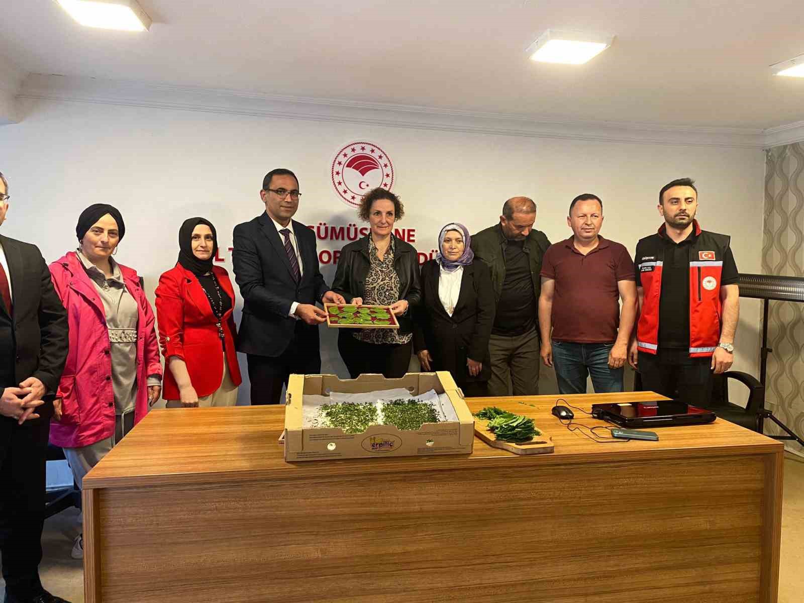 G&uuml;m&uuml;şhane&rsquo;de ipek b&ouml;ceği larvaları &uuml;reticilere teslim edildi
