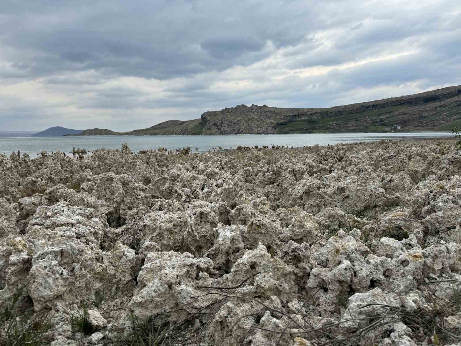 Van G&ouml;l&uuml; kıyılarındaki mikrobiyalitler vatandaşları şaşırttı
