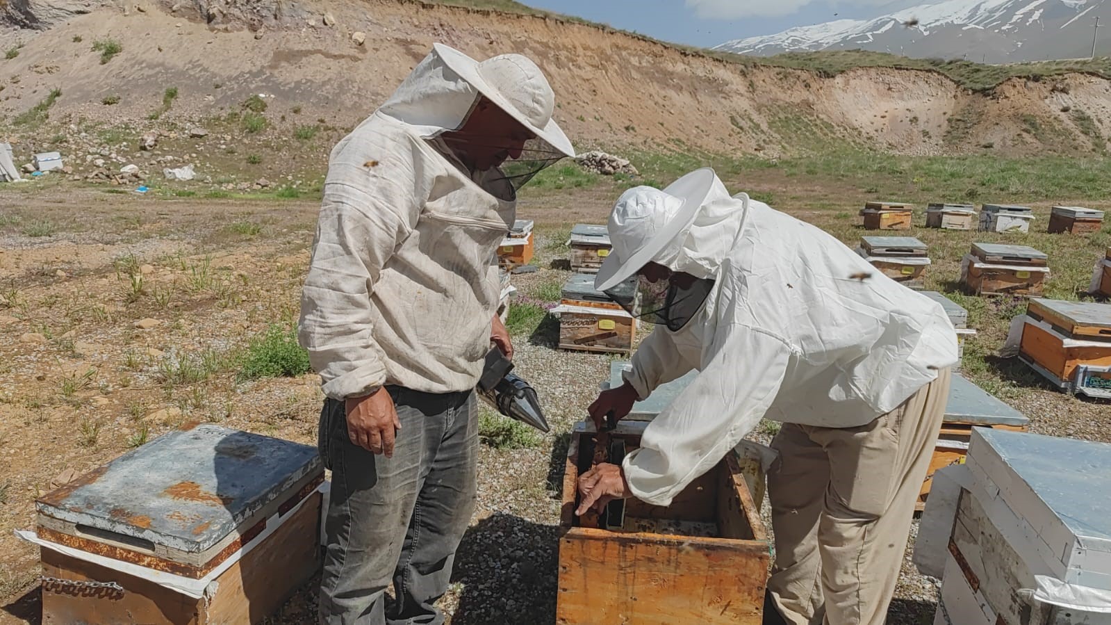 S&uuml;phan Dağı&rsquo;nın eteklerinde &uuml;retim yapan arıcılar bu yıl y&uuml;ksek rekolte bekliyor
