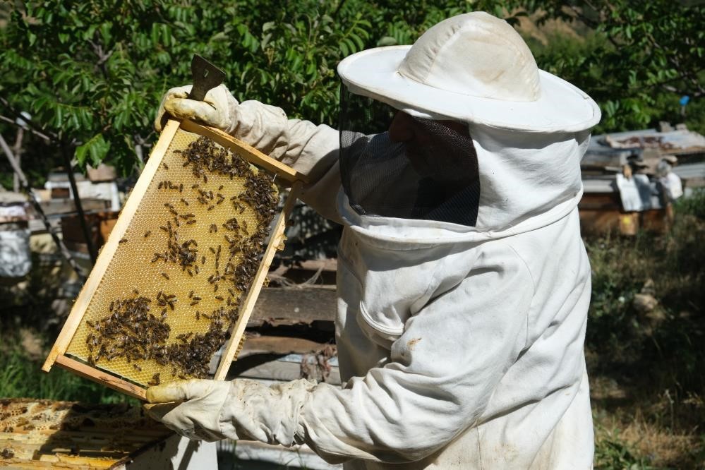 Bal arılarının yayla yolculuğu başladı

