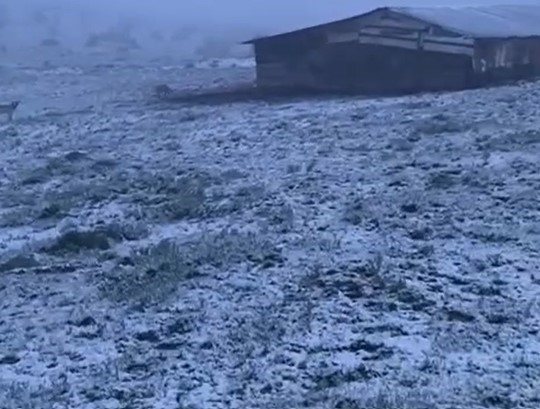 Çankırı’da mayıs ayında kar yağışı
