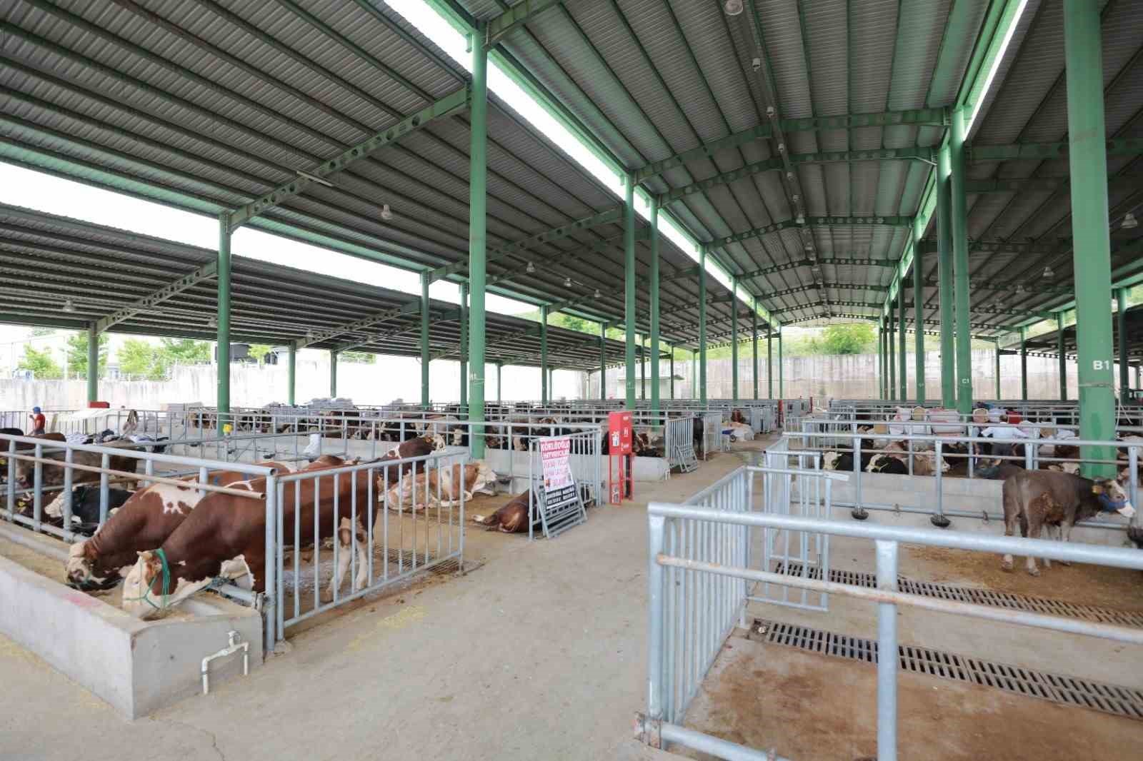Kurban satışı için modern hayvan pazarına ön kayıtlar başladı