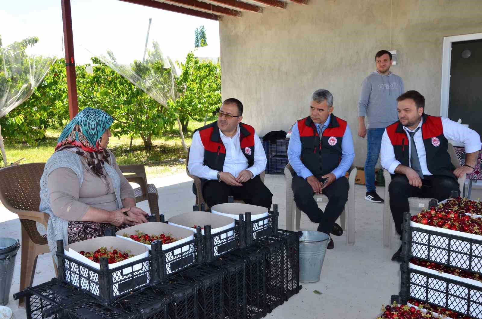 Denizli Honaz’da erkenci kiraz hasadı başladı 