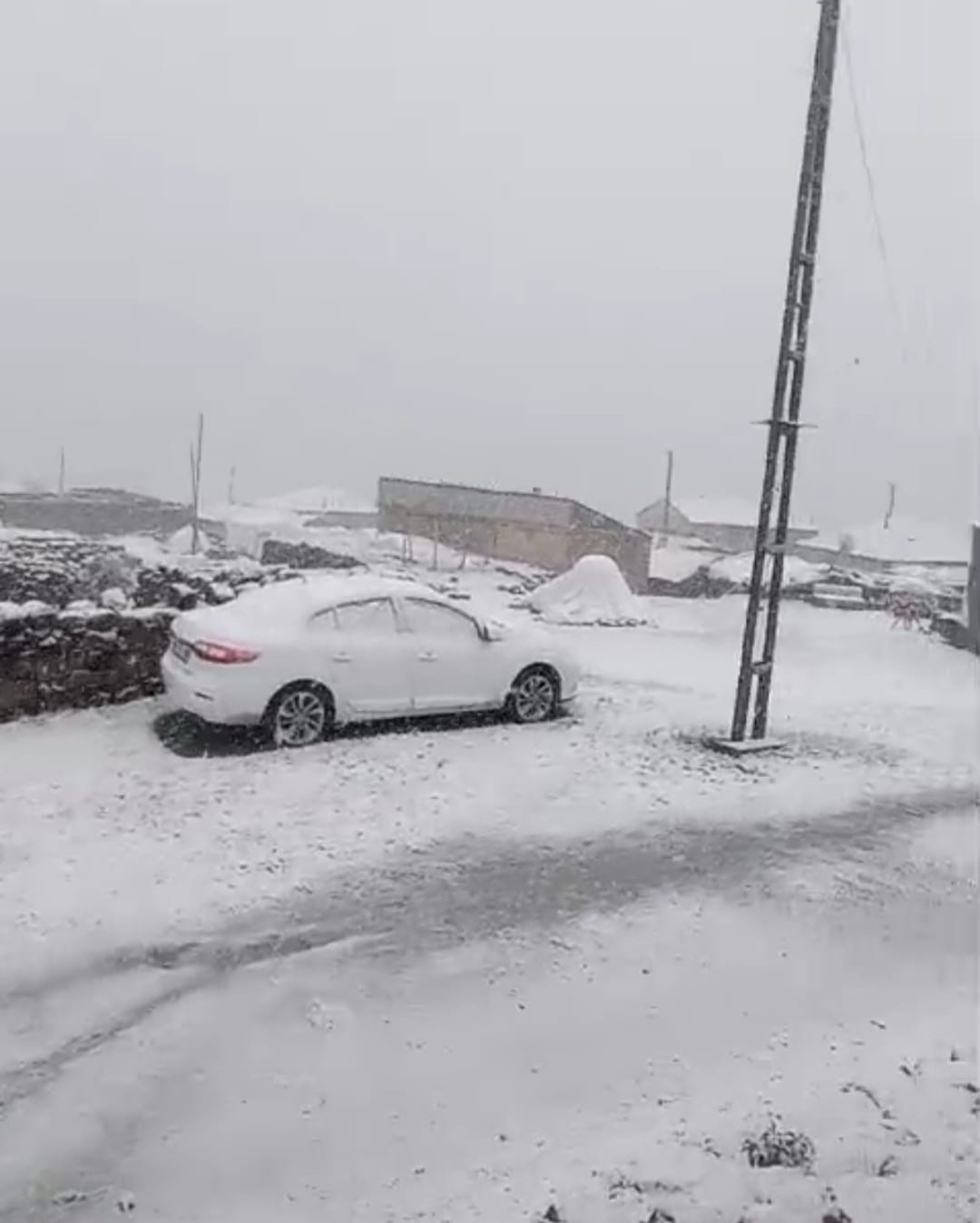 Mayıs ayında yağan kar besicilere zor anlar yaşattı
