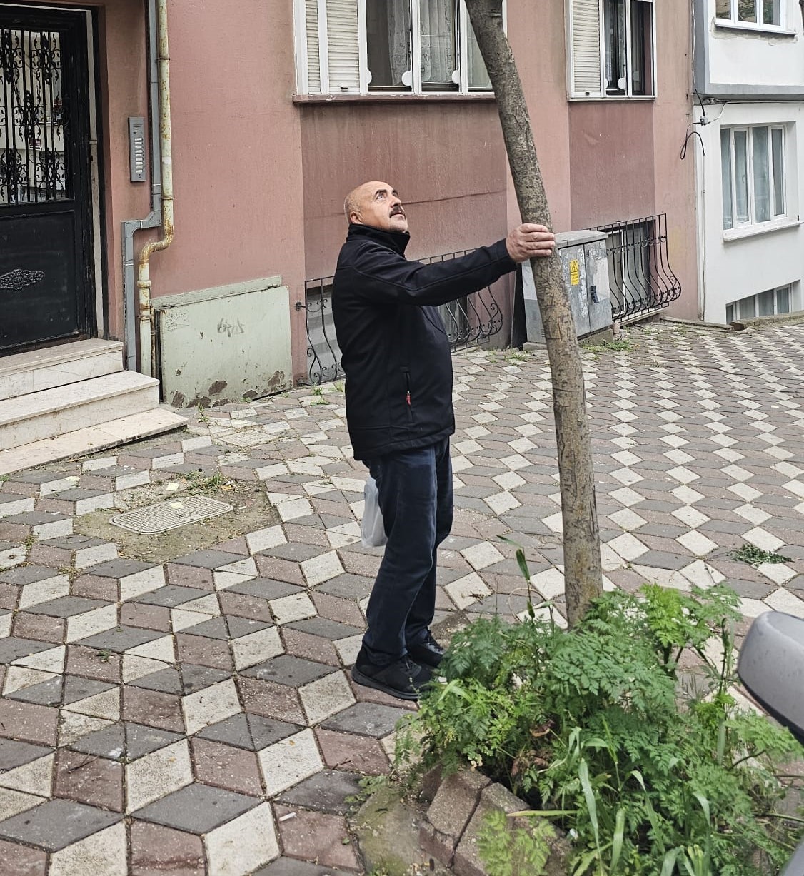 Bandırma’da sokakların yeşillenmesi için çağrı
