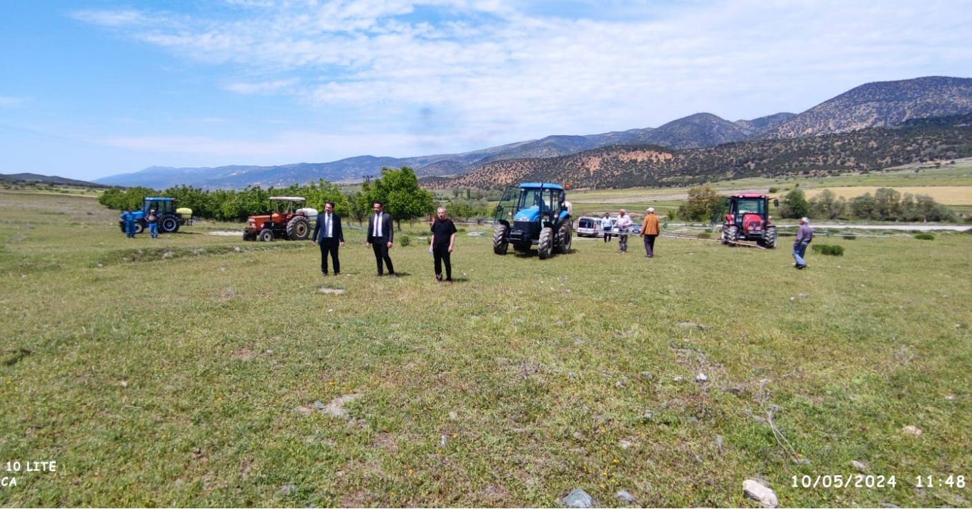 Amasya’da çekirge popülasyonu artan Kertme köyünün merasında ilaçlama yapıldı
