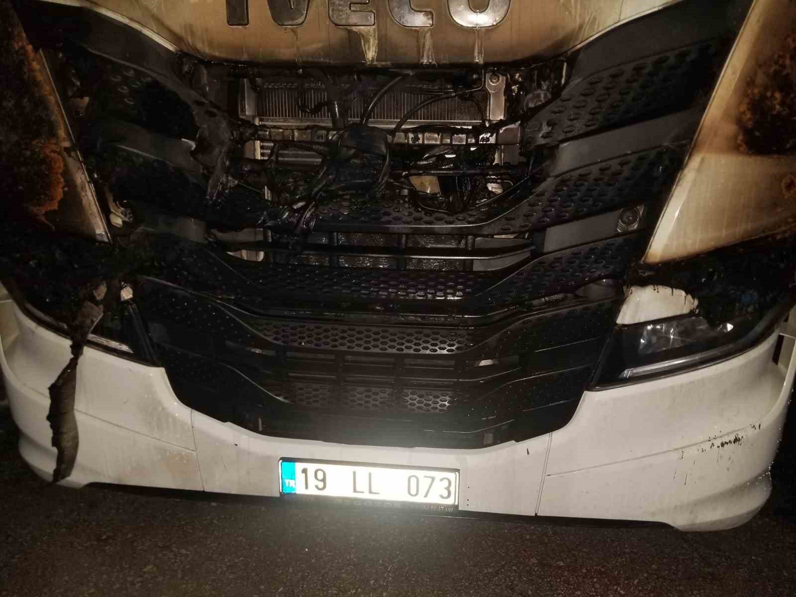 Park halindeki tır alev alev yandı