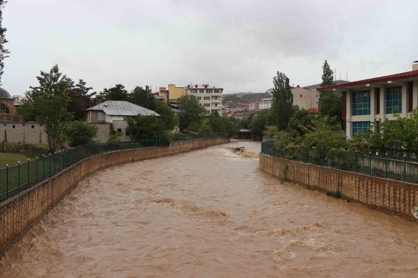 Oltu Çayı coştu
