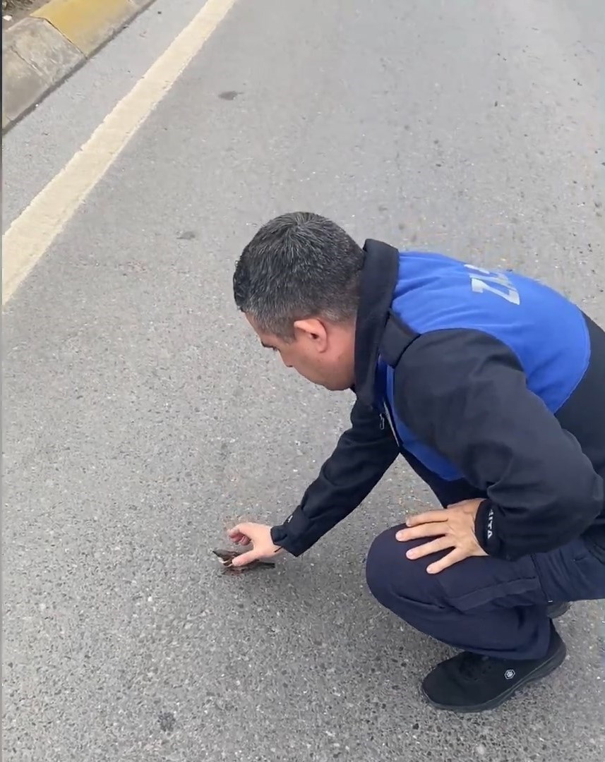 Uçamayan serçenin imdadına yetiştiler