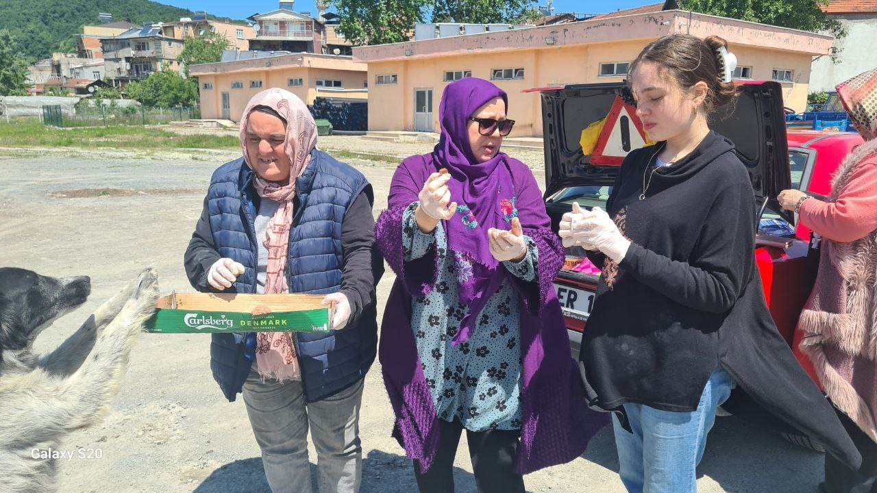 Alaplı&rsquo;da uyuz paniği
