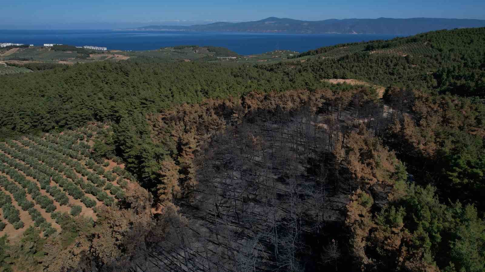 Bursa’da ormanlık alanda piknik yapmak yasaklandı
