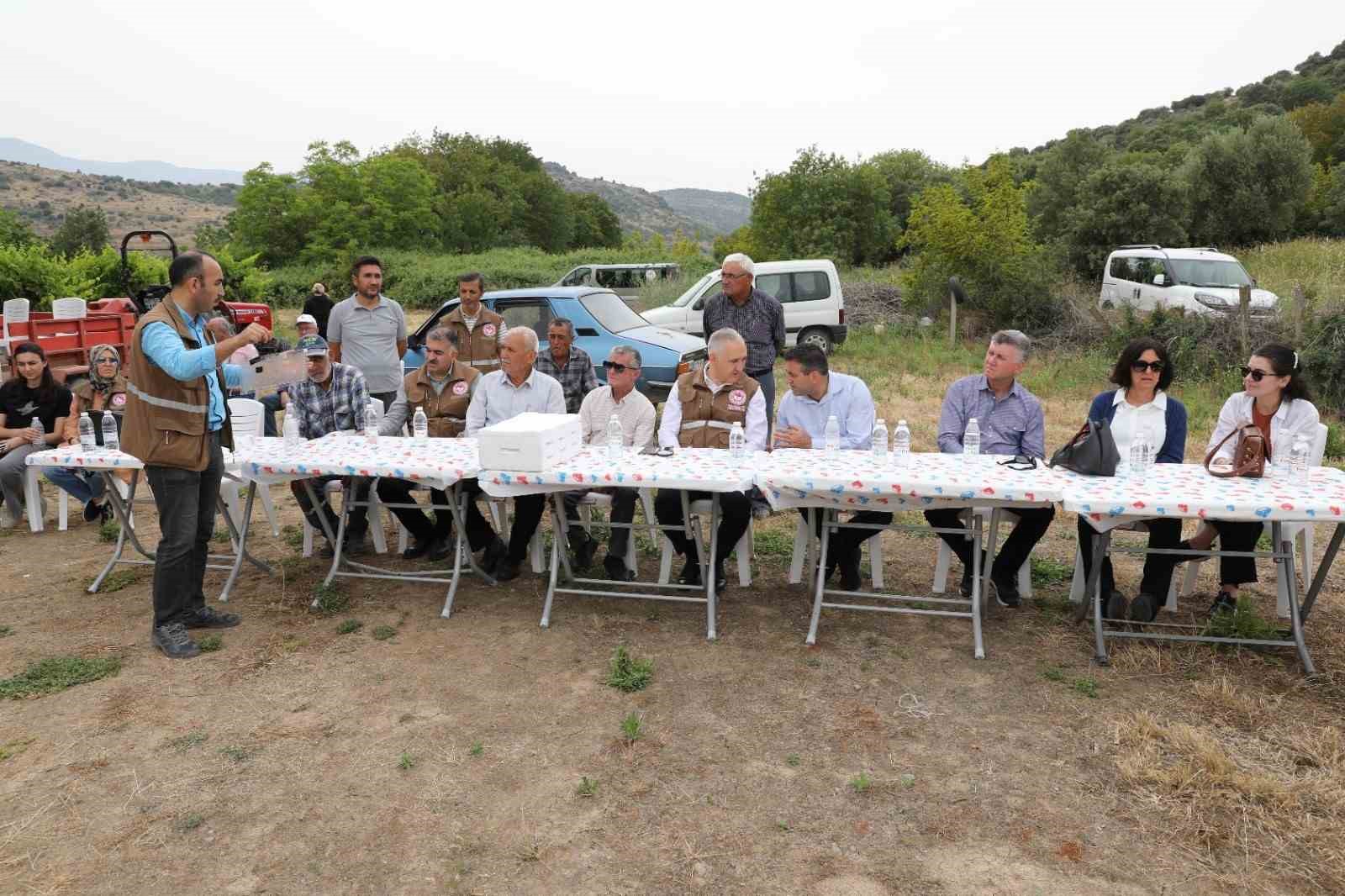 Manisa&rsquo;da istilacı kokarcaya karşı &lsquo;Samuray Arıcığı&rsquo; salımı yapıldı

