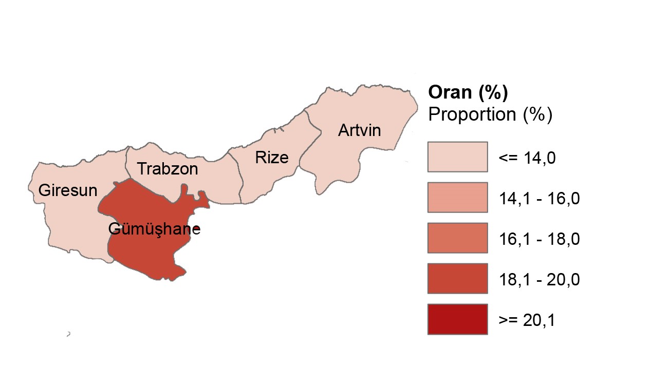 Gümüşhane genç nüfus ortalamasında Doğu Karadeniz illerini geride bıraktı