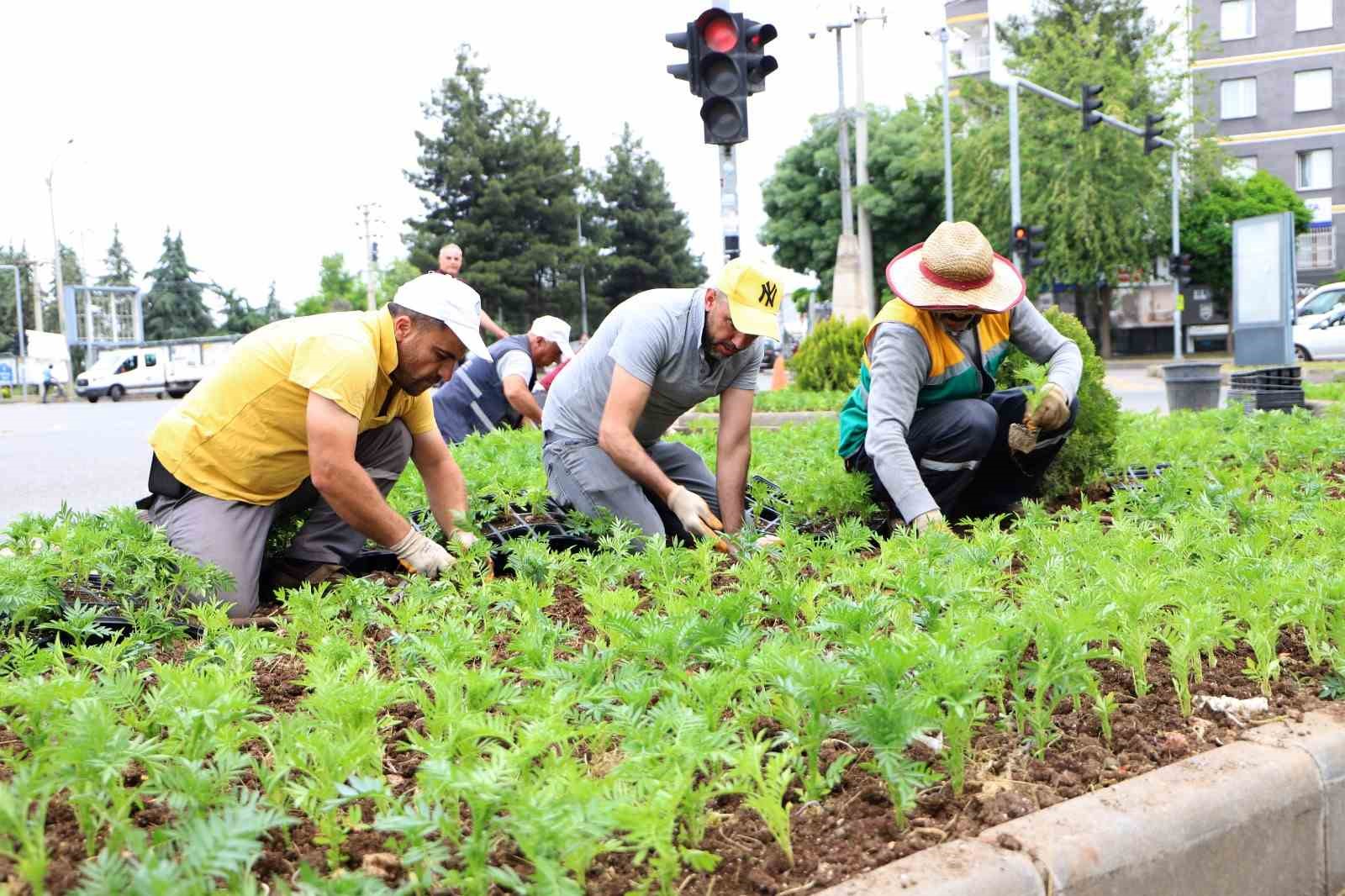 Bağlar&rsquo;da ref&uuml;jlere kadife &ccedil;i&ccedil;ekleri dikildi
