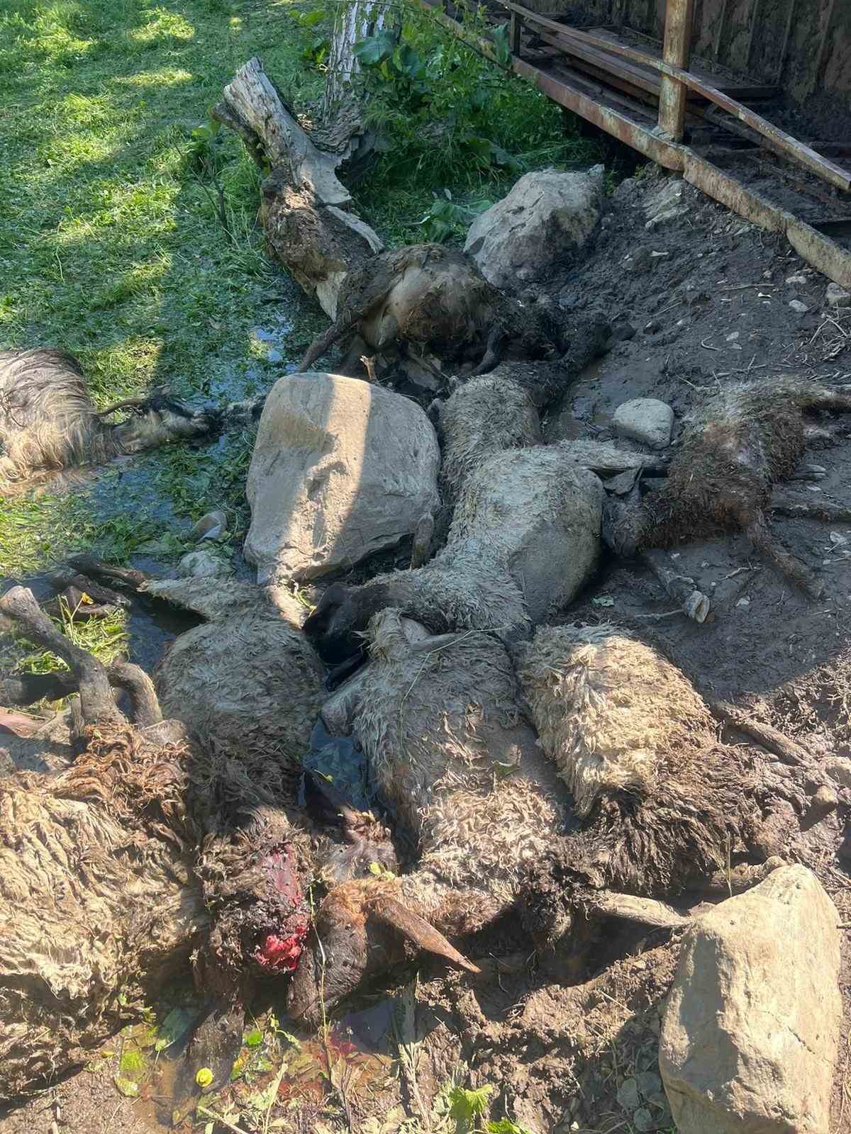 Kazada telef olan hayvanlar g&ouml;m&uuml;ld&uuml;
