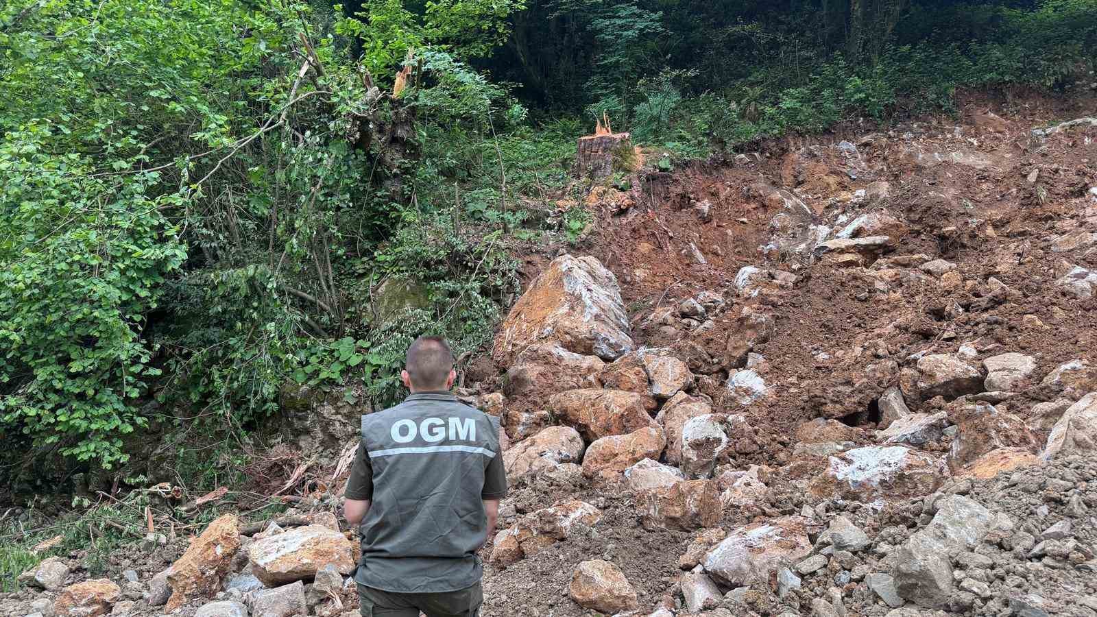 Dere ıslahı &ccedil;alışmasında bin 183 yaşındaki porsuk ağacını k&ouml;k&uuml;nden kestiler
