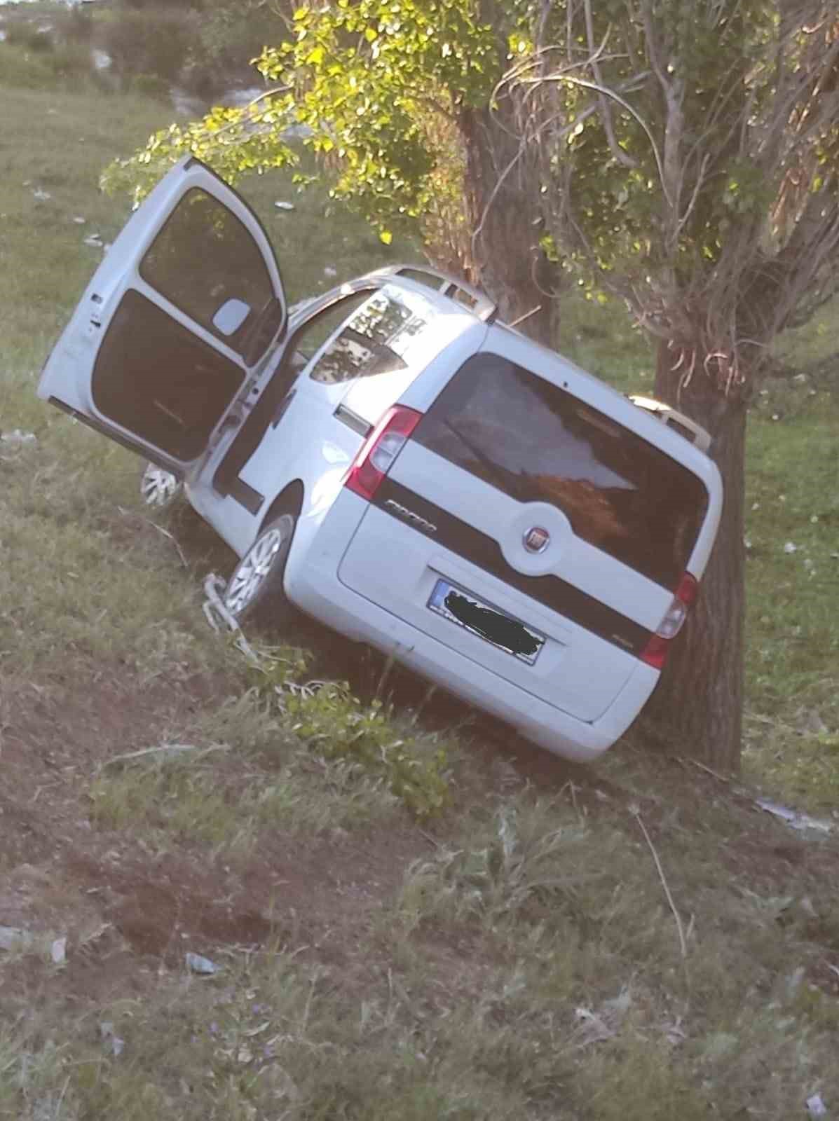 Ağrı&rsquo;da yola &ccedil;ıkan inek kazaya neden oldu: 6 yaralı 