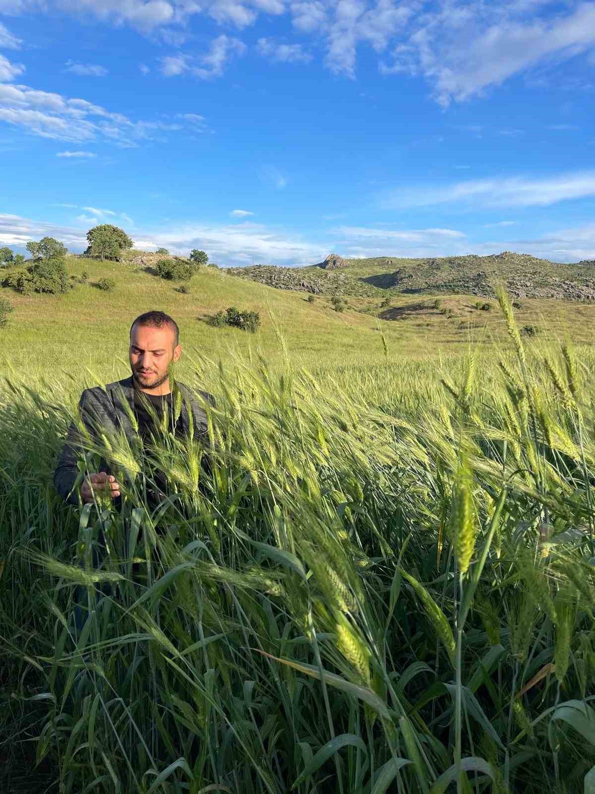 Ata tohumu &ccedil;ift&ccedil;inin y&uuml;z&uuml;n&uuml; g&uuml;ld&uuml;r&uuml;yor
