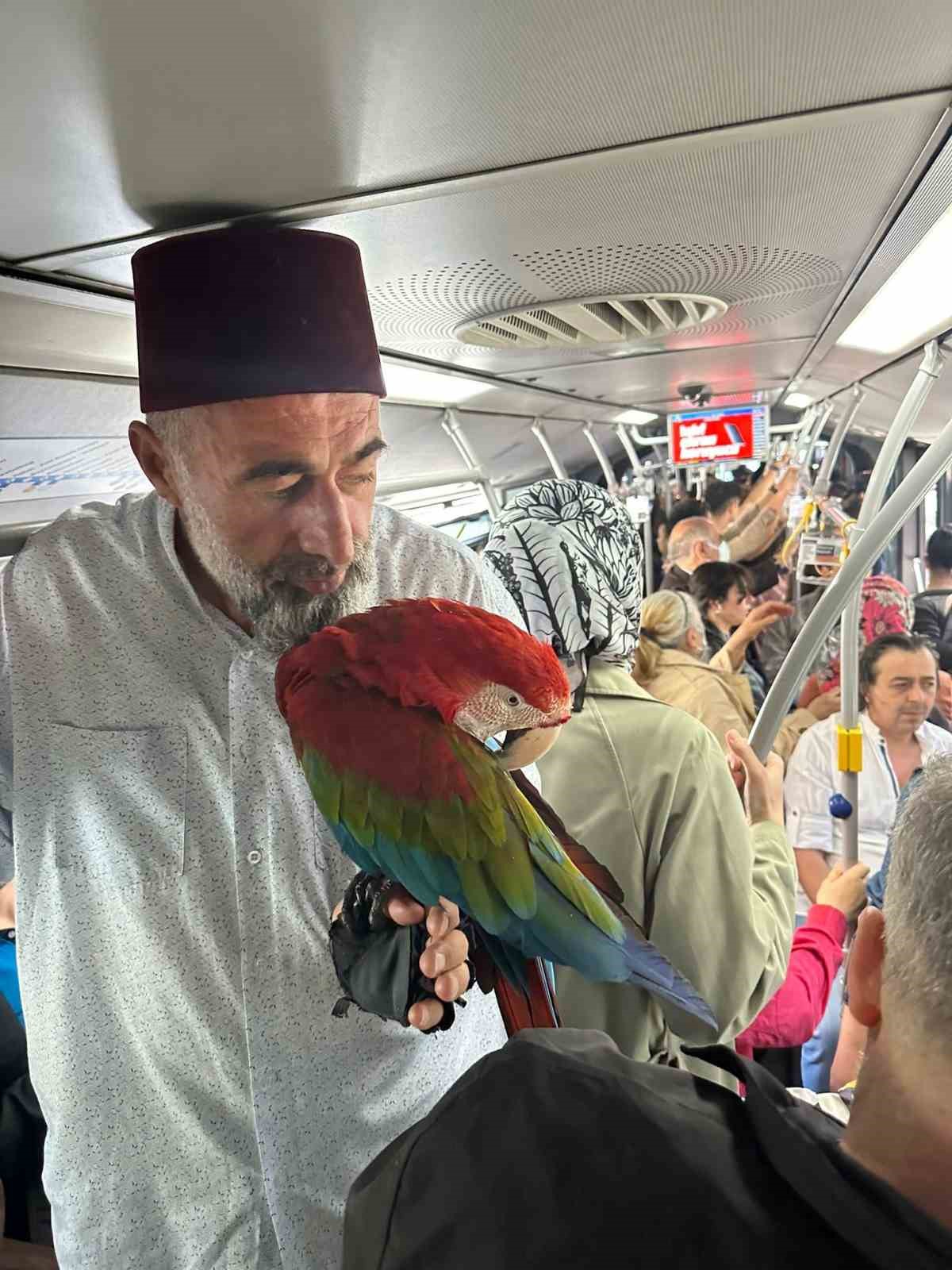 Metrobüse papağanıyla bindi, vatandaşlar şaşkına döndü