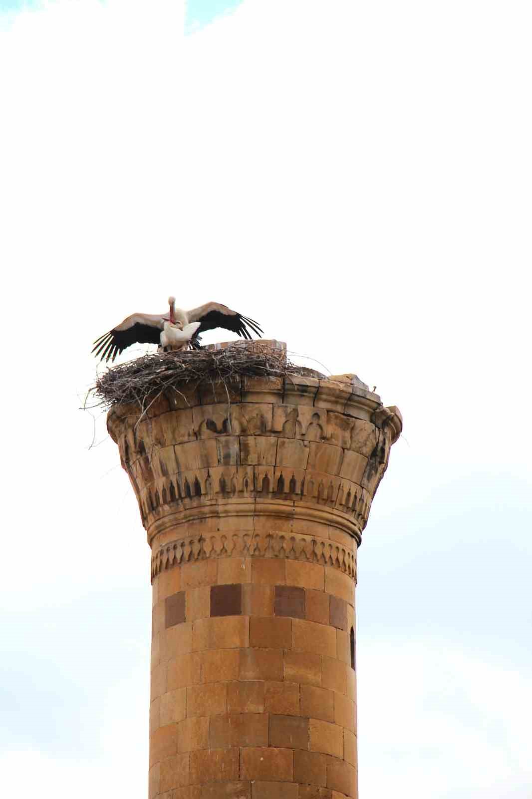 Depremde yarısı yıkılan minareye leylek yuva yaptı