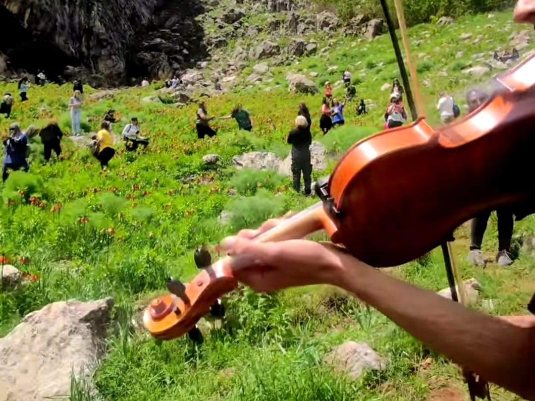 Ters laleler Tunceli dağlarına renk kattı
