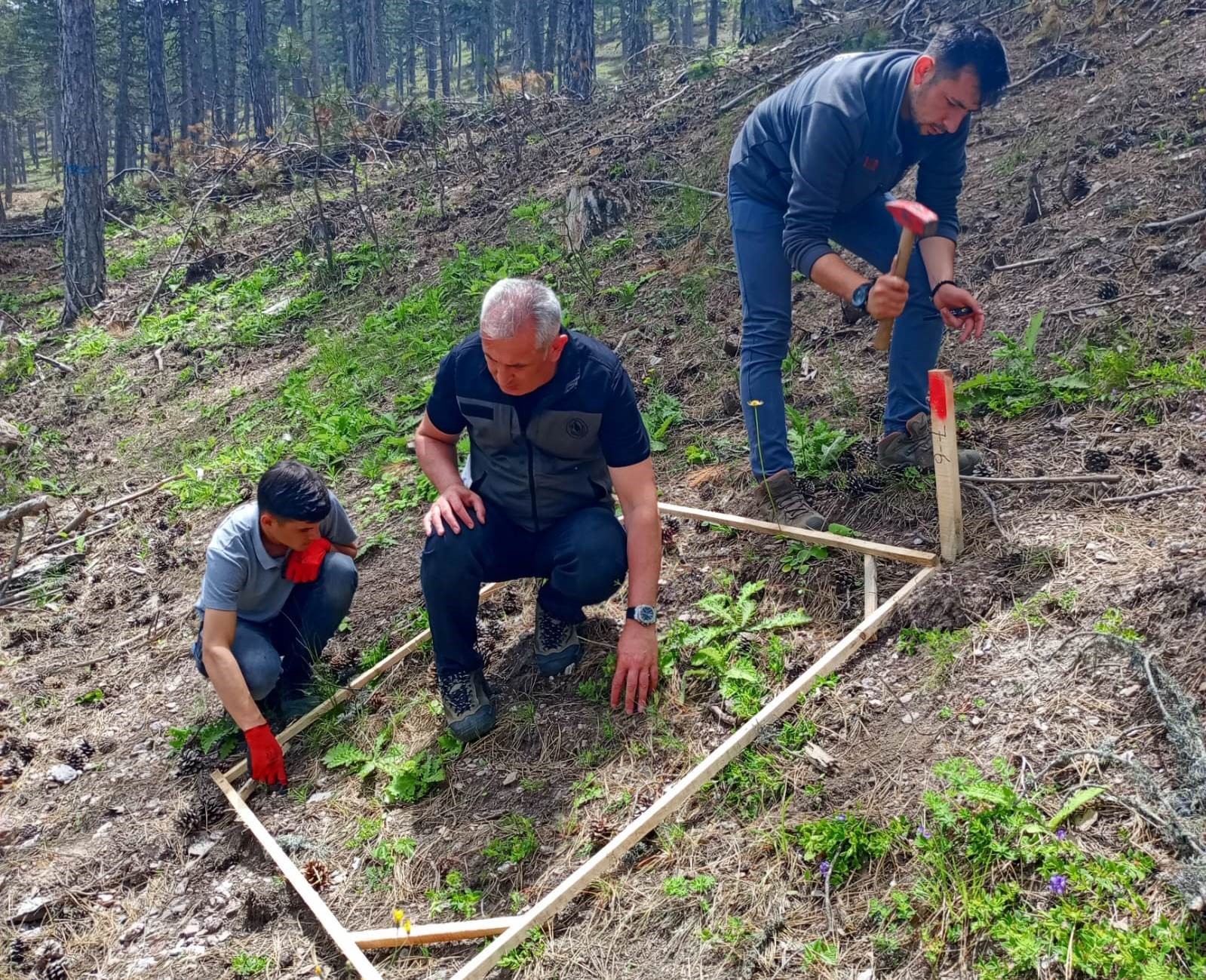 Gediz&rsquo;de 2023 tohumları fidan oldu
