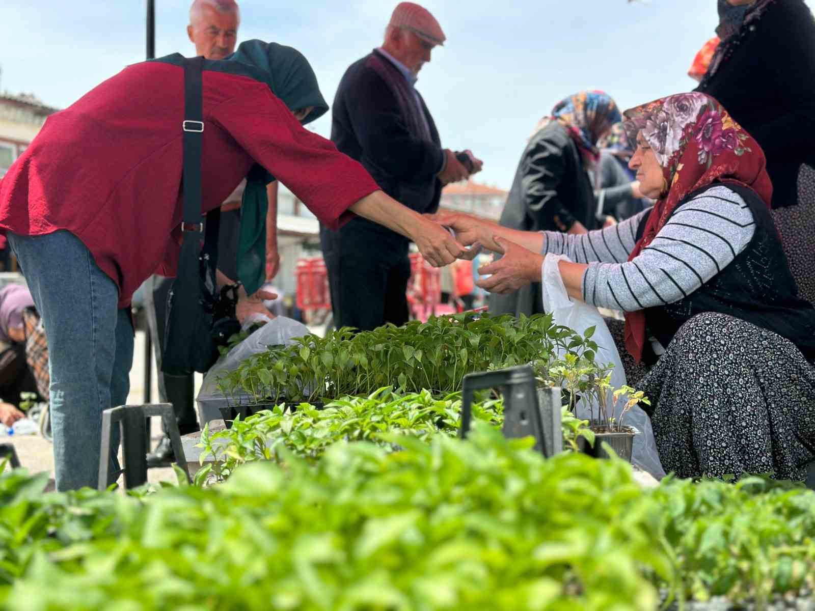 Bolu Belediyesi’nden üreticilere yerli fide desteği
