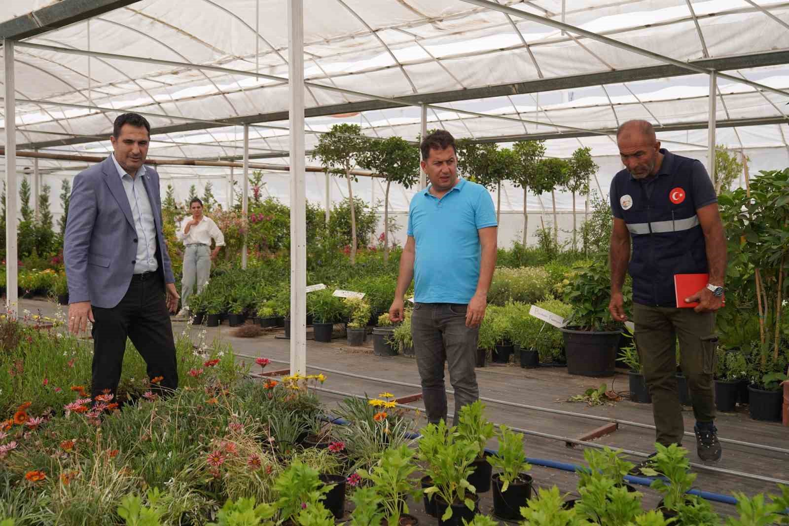 Başkan Tezcan park-bahçe düzenleme çalışmalarını inceledi
