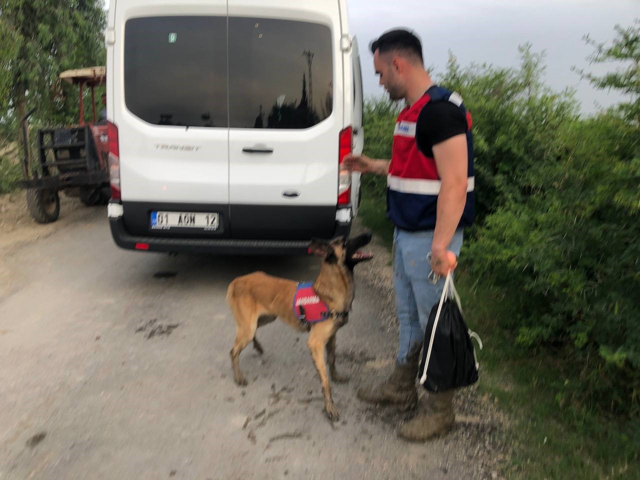 Mısır tarlasında kaybolan bir kişi özel eğitimli köpeklerle aranıyor