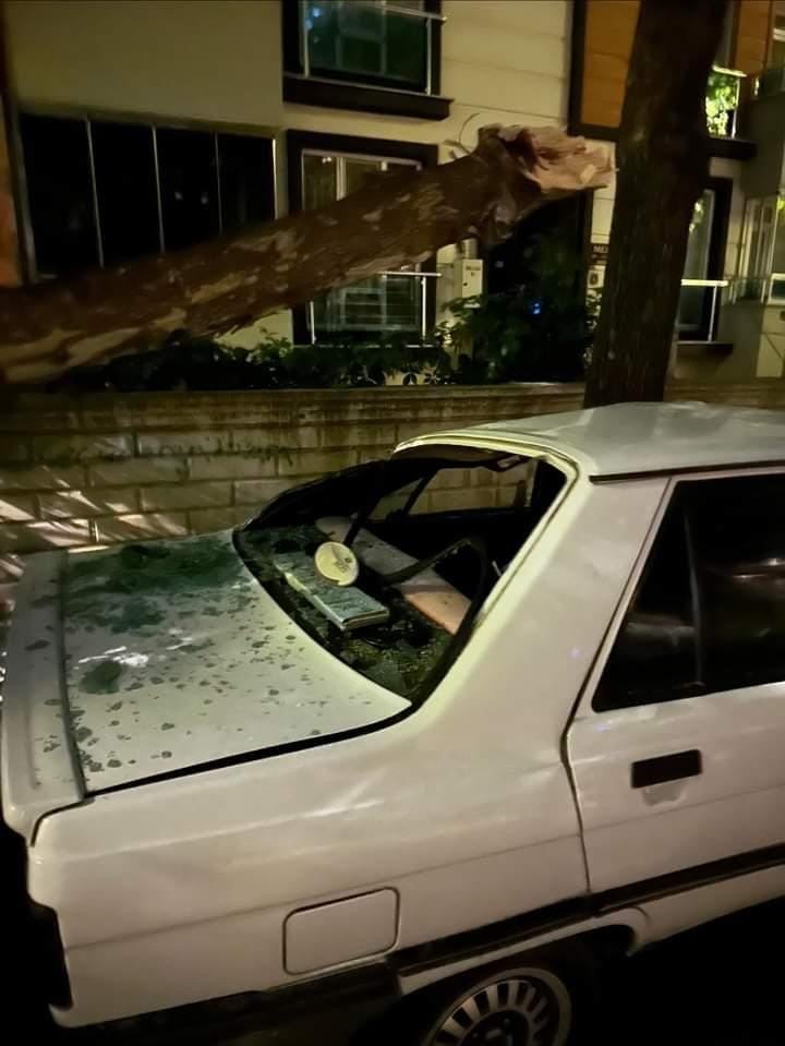 Elazığ’da fırtınanın etkisiyle araçların üzerine ağaç devrildi
