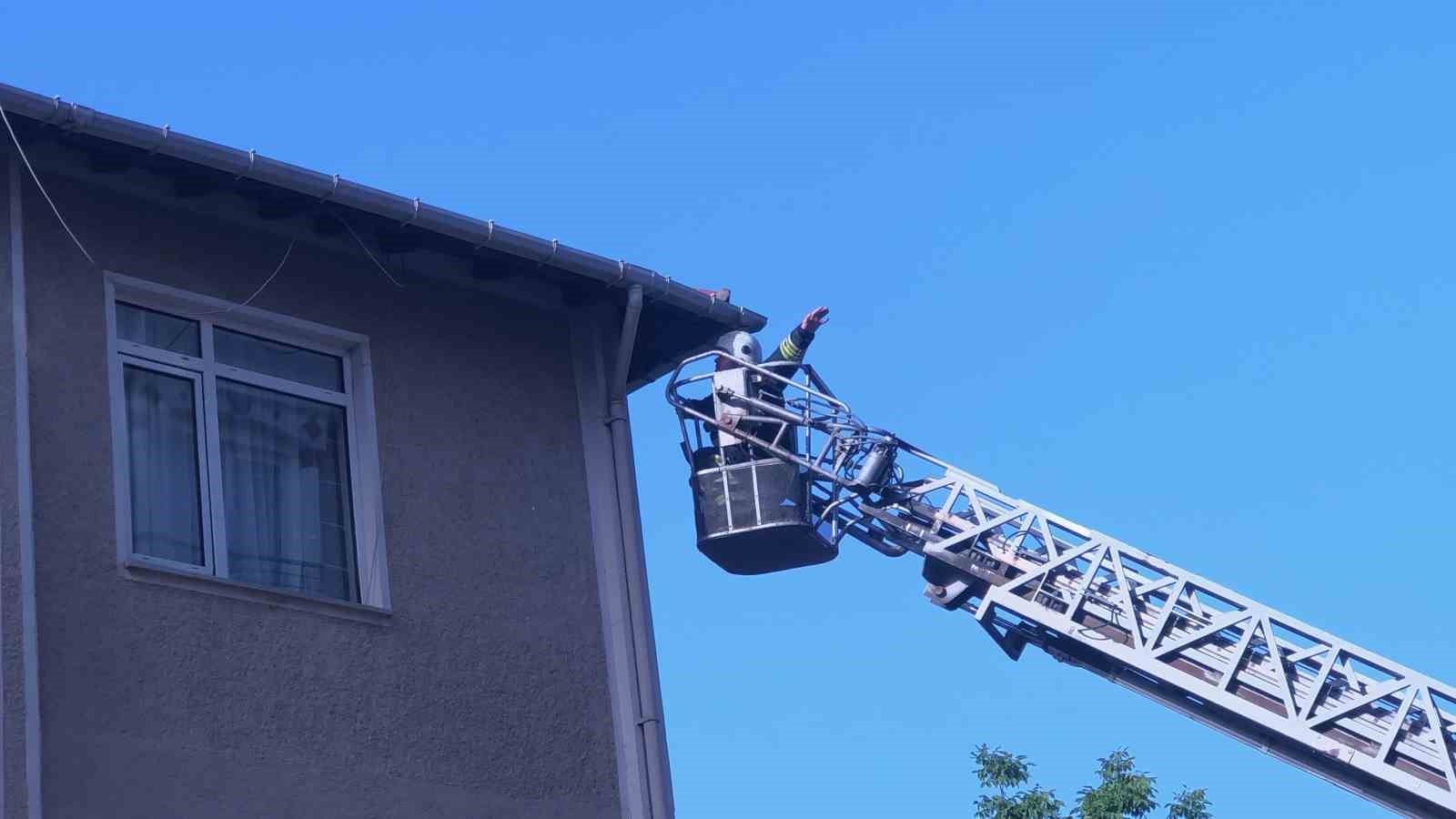 Tekirdağ’da çatıdan düşen yavru serçe yuvasına bırakıldı