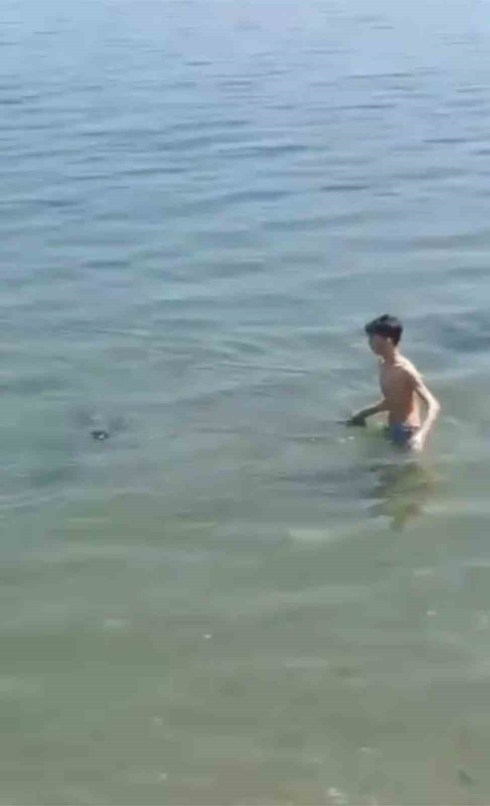 Bursa&rsquo;da denize giren &ccedil;ocuklar &ouml;l&uuml; yunus balığı buldu
