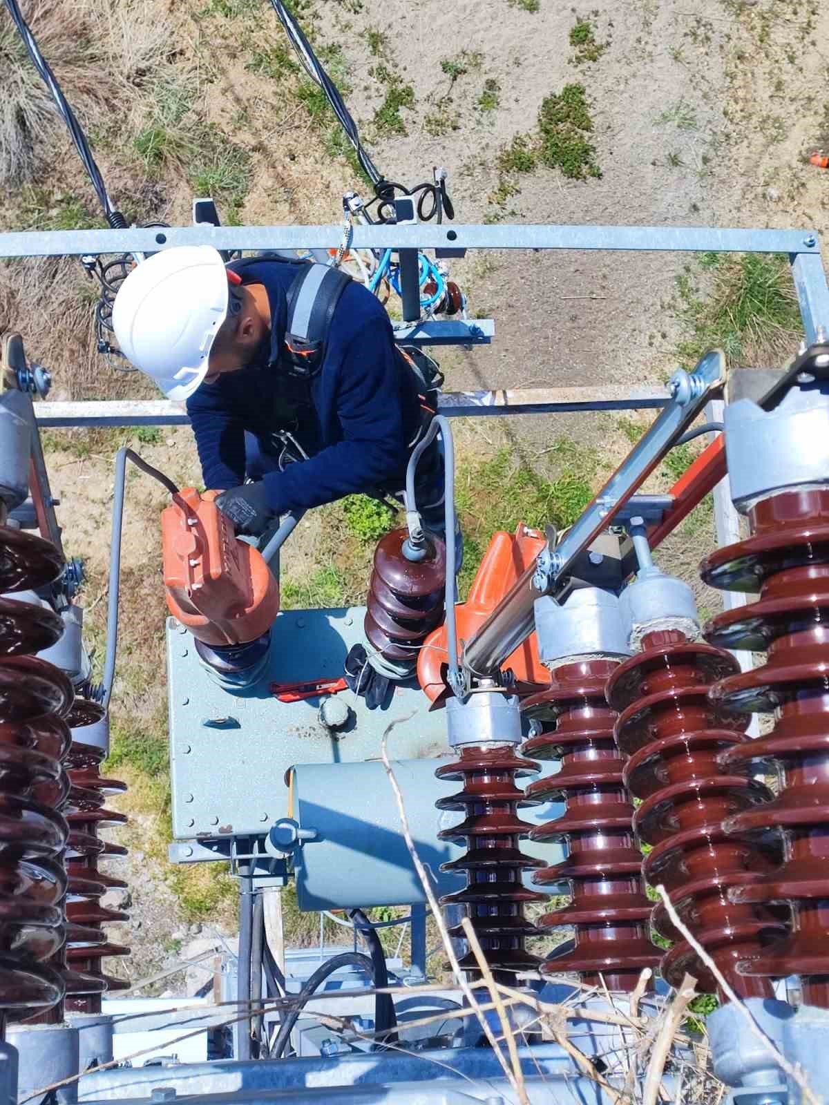 VEDAŞ ekiplerinin kuş yuvası hassasiyeti
