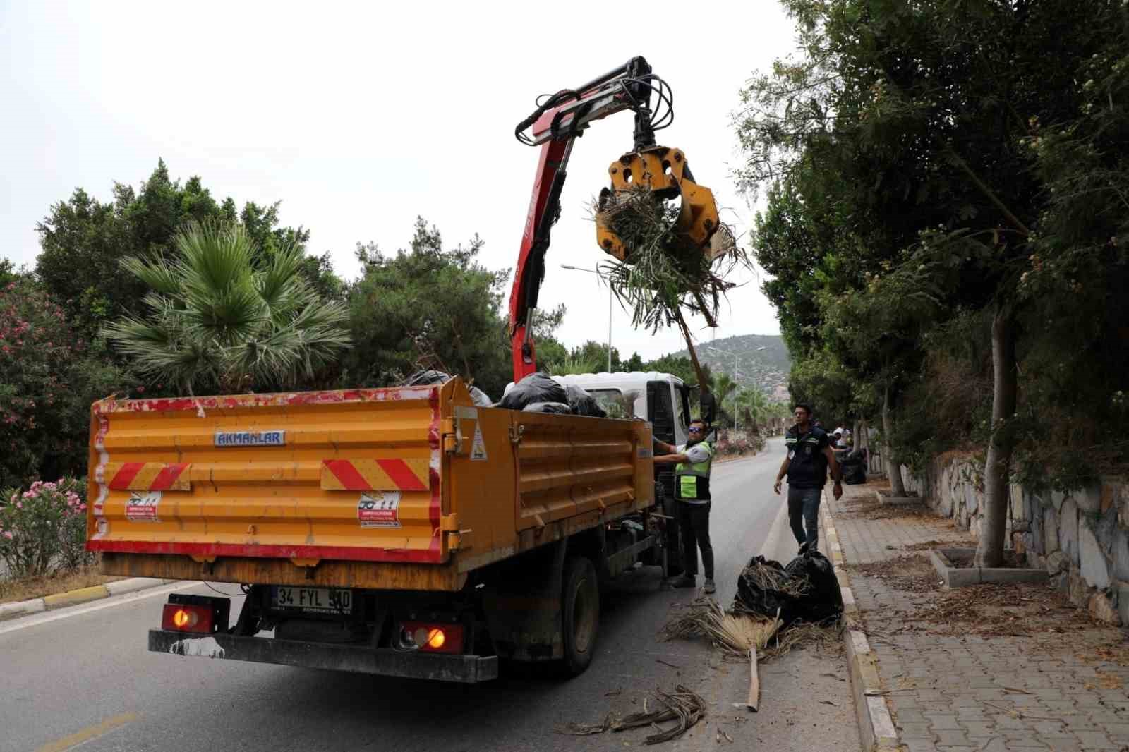 Bodrum’u cadde, sokak gezerek temizlediler 