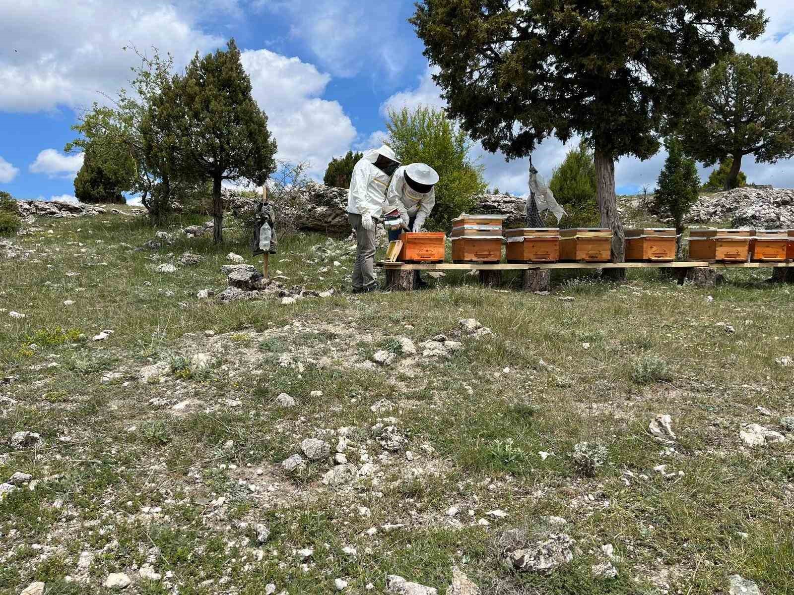 K&uuml;tahya&rsquo;da 15 &uuml;reticiye &uuml;cretsiz 105 arı kovanı dağıtıldı
